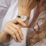 Calvin Klein Seduce Silver Dial Two Tone Steel Strap Watch for Women - K4E2N61X Buy Now By Calvin Klein