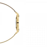 Daniel Wellington Classic Petite White Dial Gold Mesh Bracelet Watch For Women - DW00100348 Buy Now By Daniel Wellington