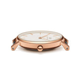 Daniel Wellington Petite Dover Quartz White Dial White NATO Strap Watch For Women - DW001000313 Buy Now By Daniel Wellington