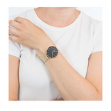 Daniel Wellington Petite Evergold Black Dial Gold Mesh Strap Watch For Women - DW00100345 Buy Now By Daniel Wellington