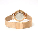 Daniel Wellington Petite Melrose Pink Dial Rose Gold Mesh Strap Watch For Women - DW00100367 Buy Now By Daniel Wellington