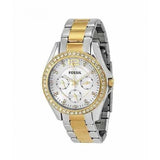Fossil Riley White Dial Two Tone Steel Strap Watch for Women - ES3204 Buy Now By Fossil