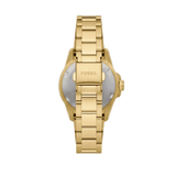 Fossil Blue Dive Three Hand White Dial Gold Steel Strap Watch For Women - ES5350 Buy Now By Fossil