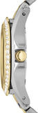 Fossil Riley White Dial Two Tone Steel Strap Watch for Women - ES3204 Buy Now By Fossil