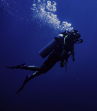 Omega Planet Ocean 6000M Co Axial Master Chronometer 45.5mm Blue Dial Black Rubber Strap Watch for Men - 21532462103001 Buy Now By Omega