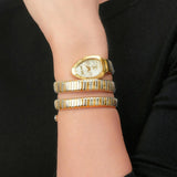 Just Cavalli Cosenza Silver Dial Two Tone Steel Strap Watch for Women - JC1L232M0055