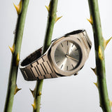 D1 Milano Ultra Thin Dusky Green Dial Green Steel Strap Watch for Men - D1-UTBJ36 Authentic Buy Shop Now