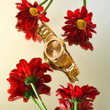 D1 Milano Ultra Thin Zephyr Gold Dial Gold Steel Strap Watch for Women - D1-UTBL31 Authentic Buy Shop Now