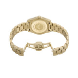 Emporio Armani Federica Brown Dial Gold Steel Strap Watch for Women - AR11700 Buy Now By Emporio Armani