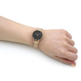 Daniel Wellington Classic Petite Evergold Black Dial Gold Mesh Bracelet Watch For Women - DW00100349 Buy Now By Daniel Wellington