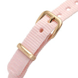 Daniel Wellington Petite Mother of Pearl Pink Dial Pink Nylon Strap Watch For Women - DW00100512 Buy Now By Daniel Wellington