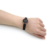 Daniel Wellington Classic Petite Pressed Ashfield Black Dial Black Mesh Bracelet Watch For Women - DW00100441 Buy Now By Daniel Wellington