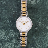 Michael Kors Pyper Quartz Silver Dial Two Tone Steel Strap Watch For Women - MK1041 Buy Now By Michael Kors