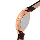 Daniel Wellington Classic Petite Bristol Black Dial Brown Leather Strap Watch For Women - DW00100165 Buy Now By Daniel Wellington