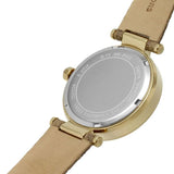 Michael Kors Parker Three Hand Gold Dial Brown Leather Strap Watch For Women - MK2973 Buy Now By Michael Kors