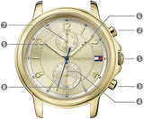 Tommy Hilfiger Claudia Rose Gold Dial Brown Leather Strap Watch for Women - 1781818 Buy Now By Tommy Hilfiger