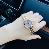 Tissot T Classic PR 100 Donna Rose Gold Lady Small Watch For Women - T101.010.33.451.00 Buy Now By Tissot